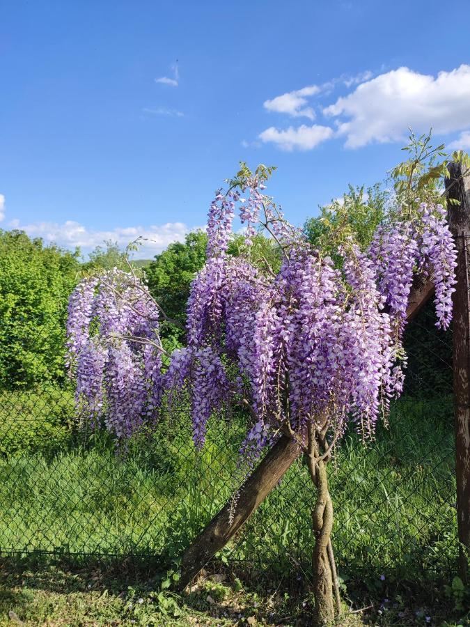 Podere Verdi Colline Poppi Ngoại thất bức ảnh